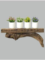 SODEF 4 Piece Small White Flowerless Planter Set Concrete Decorative Pots Modern Beige - One Size - Image 2
