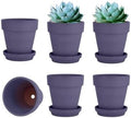 vensovo 4 Inch Purple Terracotta & Clay Pots with Saucer, 6 Pack by vensovo