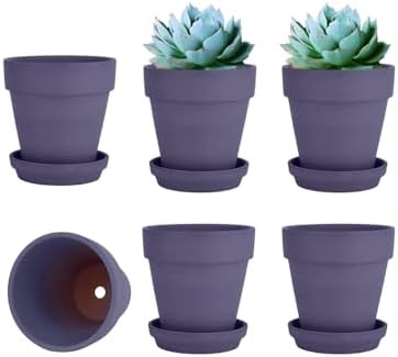 vensovo 4 Inch Purple Terracotta & Clay Pots with Saucer, 6 Pack by vensovo