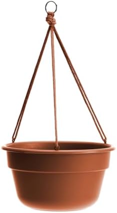 Bloem Dura Cotta 12" Plastic Hanging Basket Planter, Terra Cotta, 4-Pack - Image 5