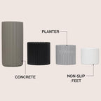 Eyely Anisa Modern Minimalist Handmade Concrete Fluted Cylinder Planter Set, Matte Monochrome Neutral (Set of 4) (NLP1004A-4SET) - Image 4