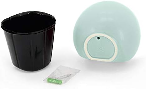 Arcadia Garden Products WP31 Small Round Wall Planter 3-Pack-Mint - Image 5