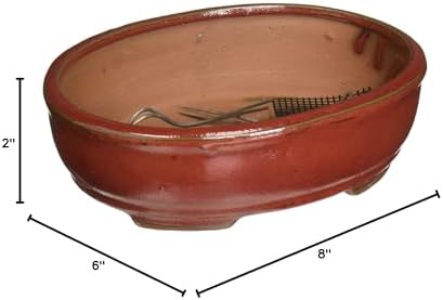 Brussel's 8" Oval Bonsai Glazed Ceramic Pot (Medium, Red) - Image 2