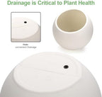 Large Round Planter,Planters for Indoor Plants & Outdoor,Durable Plastic Material Sphere Planter with Drainage Hole & Rubber Plug Weather Resistant,Plant Pot - Image 3