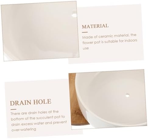 White Porcelain Succulent Pot with Drainage and Bamboo Tray Ceramic Planter Pot for Indoor and Outdoor Small Plants Herbs and Bonsai Flower Pot for Office and Home - Image 2