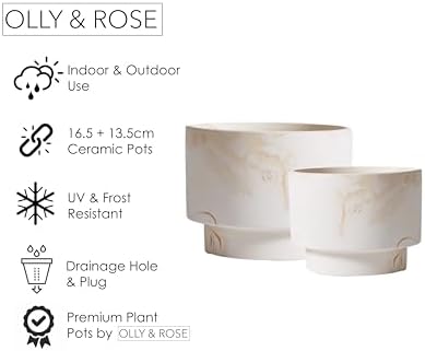 Olly & Rose White with Beige Streaks Ceramic Plant Pot Set 2-16.5,13.5cm Medium Plant Pots Outdoor and Indoor - White Planters - Flower Pots - Image 4