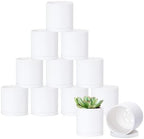D'vine Dev 12-Pack Mini White Plastic Planters with Saucers, 3 in, 74-Z-C-4 by DvineDevPlanterPotsandStand