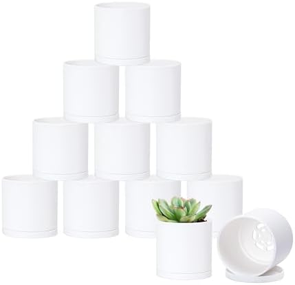 D'vine Dev 12-Pack Mini White Plastic Planters with Saucers, 3 in, 74-Z-C-4 by DvineDevPlanterPotsandStand