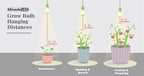 Miracle LED Absolute Daylight Full Spectrum, Ficus Bonsai Starter Grow Light Kit (Braided 4-Socket) - Image 6