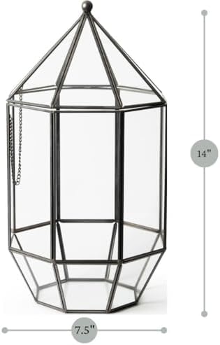 SuperMoss (90405) Glass Terrarium – Elegant Indoor Gardening Décor, Ideal Gifts for Plant Lovers, Modern Home & Office Decoration, 7.5” x 7.5” x 14”, Greenhouse - Image 3