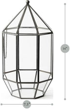 SuperMoss (90405) Glass Terrarium – Elegant Indoor Gardening Décor, Ideal Gifts for Plant Lovers, Modern Home & Office Decoration, 7.5” x 7.5” x 14”, Greenhouse - Image 3