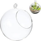 M METERXITY 1-Pack Clear Glass Air Plant Terrarium, 3.4 Inch Angled with Handle Plant Display Glass for Windowsill/Outdoor Garden/Home Decor, Flat Bottom Globe Bowl Terrarium [Transparent] by MMETERXITY