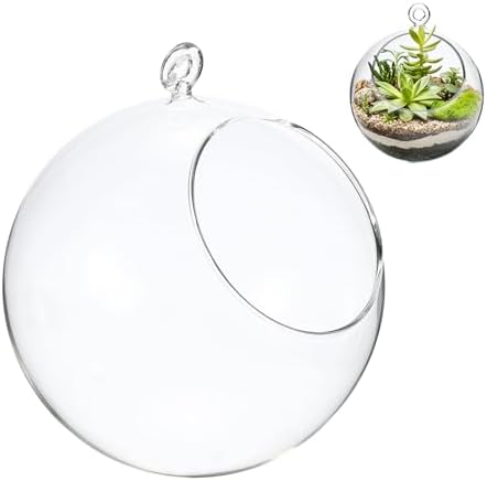 M METERXITY 1-Pack Clear Glass Air Plant Terrarium, 3.4 Inch Angled with Handle Plant Display Glass for Windowsill/Outdoor Garden/Home Decor, Flat Bottom Globe Bowl Terrarium [Transparent] by MMETERXITY