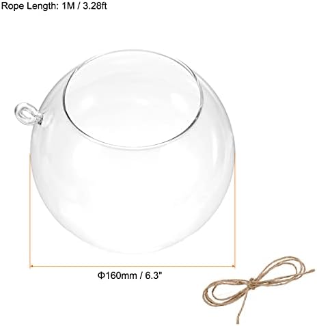 PATIKIL Round Globe Terrarium Air Plant Planter, 6.3 Inch Clear - Image 2
