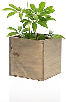 Wooden Planter Box, Rustic Barn Wood with Plastic Liner l Garden Decor l Restaurant and Wedding Decorations l Wedding Bouquets, Table Centerpiece (5x5 Set of 4, Natural) - Image 4