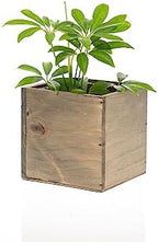 Wooden Planter Box, Rustic Barn Wood with Plastic Liner l Garden Decor l Restaurant and Wedding Decorations l Wedding Bouquets, Table Centerpiece (5x5 Set of 4, Natural) - Image 4