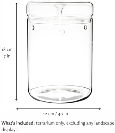 Small Glass Terrarium Jar with Lid – 4.7 x 7 Inch Closed Plant Terrarium for Succulents, Moss, Venus Fly Trap & Self-Sustaining Ecosystems – Ideal Indoor Decor for Home & Tabletop - Image 4