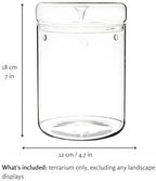 Small Glass Terrarium Jar with Lid – 4.7 x 7 Inch Closed Plant Terrarium for Succulents, Moss, Venus Fly Trap & Self-Sustaining Ecosystems – Ideal Indoor Decor for Home & Tabletop - Image 4