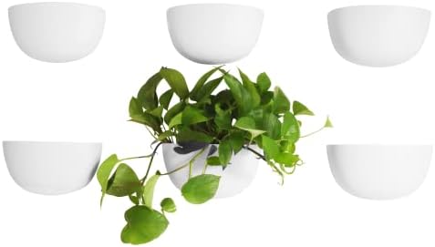 Make Good Virgo Wall Planters (Wide, Set of 6) - Easy to Water and Install - Lightweight - Design Your Own Vertical Garden - Melamine Plastic by MakeGood