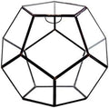 WGV Geometric Planter Terrarium, Width 8.7" Height 7.5" Clear Glass Black Frame DIY Succulent air Plant Miniature Fairy Garden Windowsill Tabletop Decor, Globe Geode 1 Piece by WGVInternational-OpusGlassware
