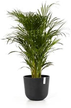 Ecopots Oslo Round Flower Planter, Dark Grey, 14" - Image 2