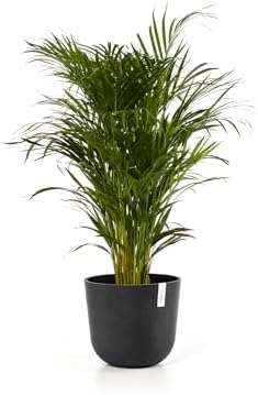 Ecopots Oslo Round Flower Planter, Dark Grey, 14" - Image 2