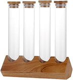 Cereals Canister Test Tubes with Sealed Wooden Caps Plant Propagation Glass Containers for Coffee and Tea Display and Scientific Experiments (4 Tubes) - Image 3