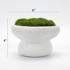 6'' Handmade Cement Bowl–Artificial Moss Centerpiece for Home Decoration - Image 6