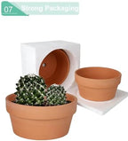 vensovo 8 Inch Terracotta Shallow Planter Pots, 2 Pack, Drainage Hole - Image 7