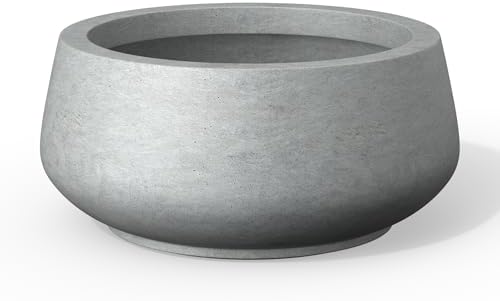 Kante Accent Round Shallow Pale Gray Concrete Planter 16.9" Dia, Outdoor by Unknown