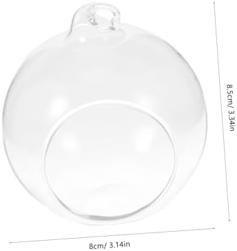 12Pcs Transparent Hanging Glass Globe Terrarium for Air Plants Creative Micro Landscape Decor for Home Office Decoration and Plant Display - Image 2