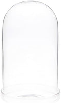 Plymor 4" x 7" Glass Display Dome Cloche (Clear Glass Tray Base), Pack of 2 by Plymor