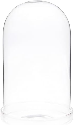 Plymor 4" x 7" Glass Display Dome Cloche (Clear Glass Tray Base), Pack of 2 by Plymor