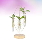 Ipetboom Iron Flower Planter Glass Vase with 3 Hydroponic Test Tubes, Golden Leaf Frame, Glass Propagation Container for Home and Office Plant Arrangement - Image 5
