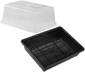 Kisangel Plastic Germination Tray Set with Tall Dome for Plants Seedlings by Kisangel