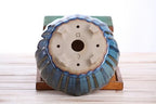 Willow Bonsai Ceramics Lily Bonsai Pot 6 Inch – Sculpted Rounded Ceramic Bonsai & Succulent Planter with Wavy Profile, High‑Fired Frost‑Proof Stoneware, Handmade in USA (Peacock, 6inch) - Image 6
