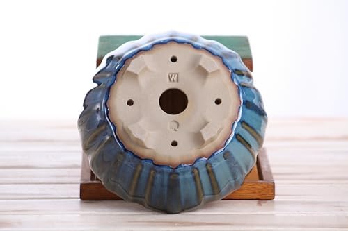 Willow Bonsai Ceramics Lily Bonsai Pot 6 Inch – Sculpted Rounded Ceramic Bonsai & Succulent Planter with Wavy Profile, High‑Fired Frost‑Proof Stoneware, Handmade in USA (Peacock, 6inch) - Image 6