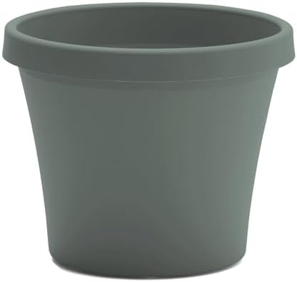 Bloem Terra 12" Plastic Planter, 3.5 Gallon, Basil, 6-Pack - Image 4
