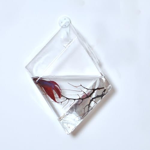 4 Pcs Creative Rhombus Glass Vase Wall Hanging - Image 2