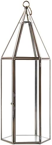 D'Eco Glass Tall Hexagon Plant Terrarium, & Centerpiece (Dims:5x5x14) - Image 3