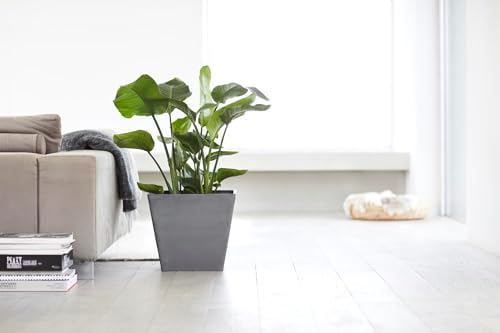 Ecopots Rotterdam Square Flower Planter, Grey, 15.75" - Image 3