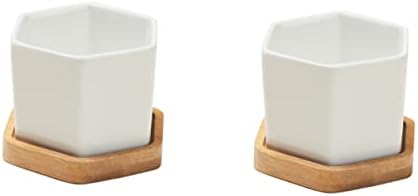 BESPORTBLE White Hexagonal Ceramic Succulent Pots, 2 Sets with Bamboo Tray by BESPORTBLE