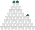 vensovo 48 Pcs 2" Tiny Ceramic Terracotta Pots,White Clay Pot by vensovo