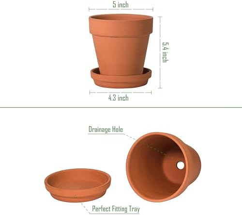 D'vine Dev 6-Pack Terracotta Plant Pots with Saucers, 5 in, 588-A-1-5 - Image 4