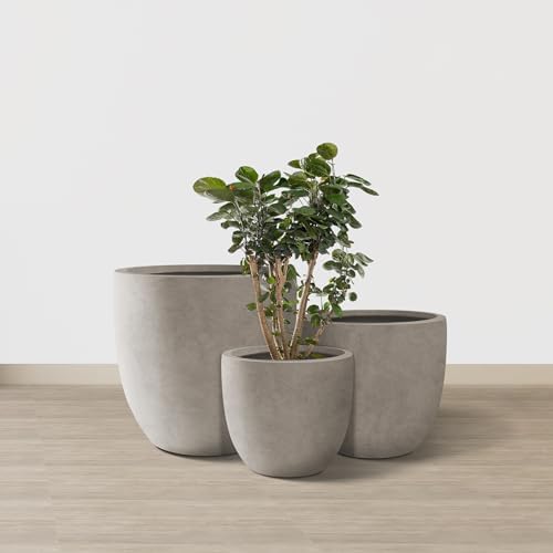 Kante Set of 3 Weathered Concrete Curved Planters 20" 16.5" 13.3" Dia - Image 2