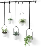 Umbra Triflora Hanging Planter, Window Herb Garden, Set of 5, White/Black by Umbra