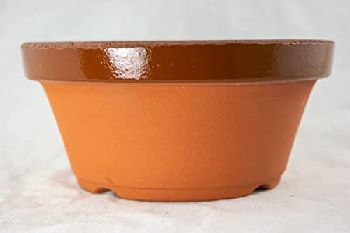 Japanese Tokoname Bonsai Training Pot, Cactus & Succulent Planter with Mesh - 8" to 14.5" (8.75"x 8.75"x 4") by Unknown