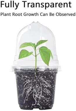 Plant Nursery Pots,Compatible for Lids PET, Transparent Humidity Domes Nursery Cups for Transplanting Seedlings Plant Starter Cont ainer A2 - Image 5