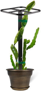 Dragon Fruit Trellis, Premium 50-Inch High Durable Metal Trellis by Goooxim