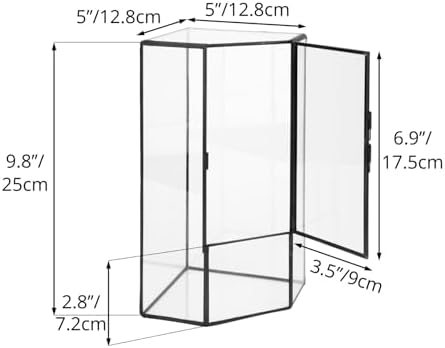 NCYP Glass Terrarium with Front Opening Door for Small Plants, Moss Wall - Image 4